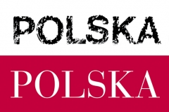 2014, Poland 1989-2014