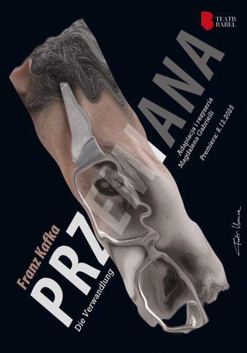 2025-Metamorphosiss-Przemiana